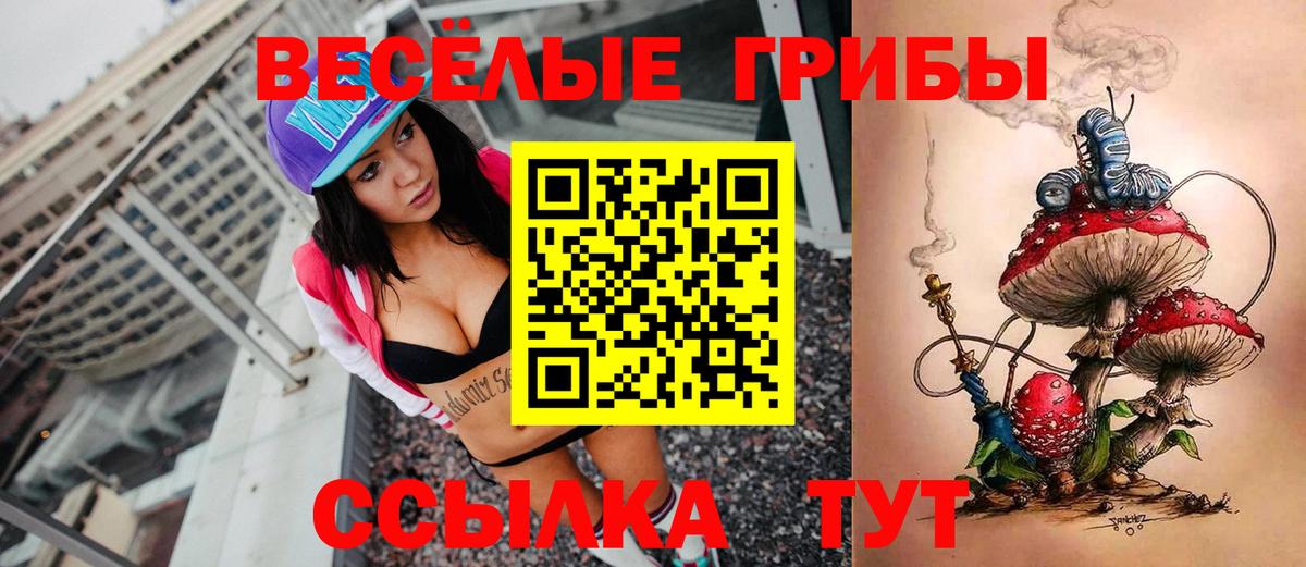 Галлюциногенные грибы мицелий  Вход с VPN  Алексин 