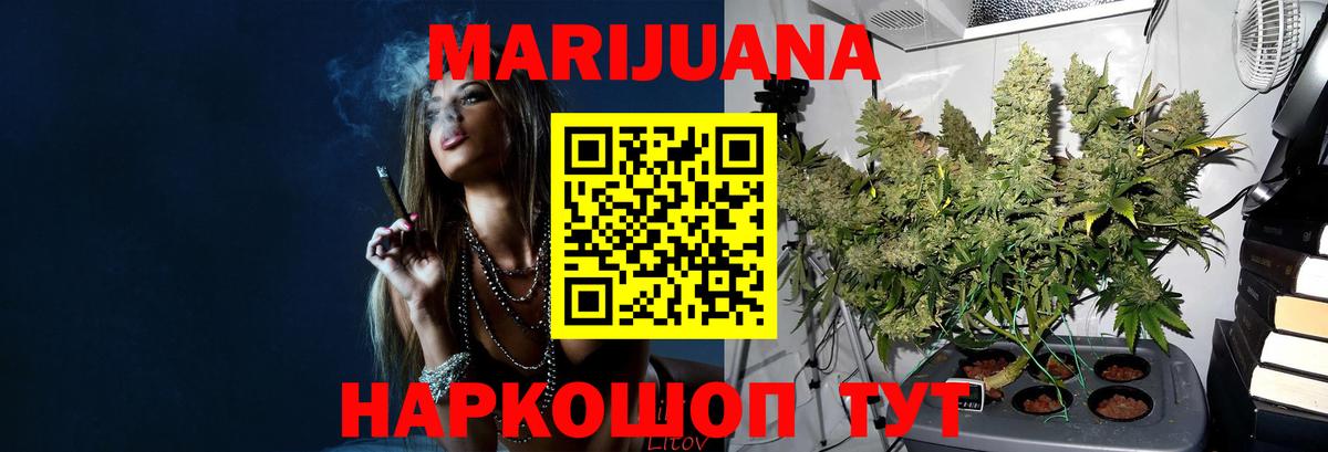 Бошки Шишки ГИДРОПОН  Шишки марихуана семена  Вход с VPN  МАРИХУАНА тримм  Конопля SATIVA & INDICA  Алексин 